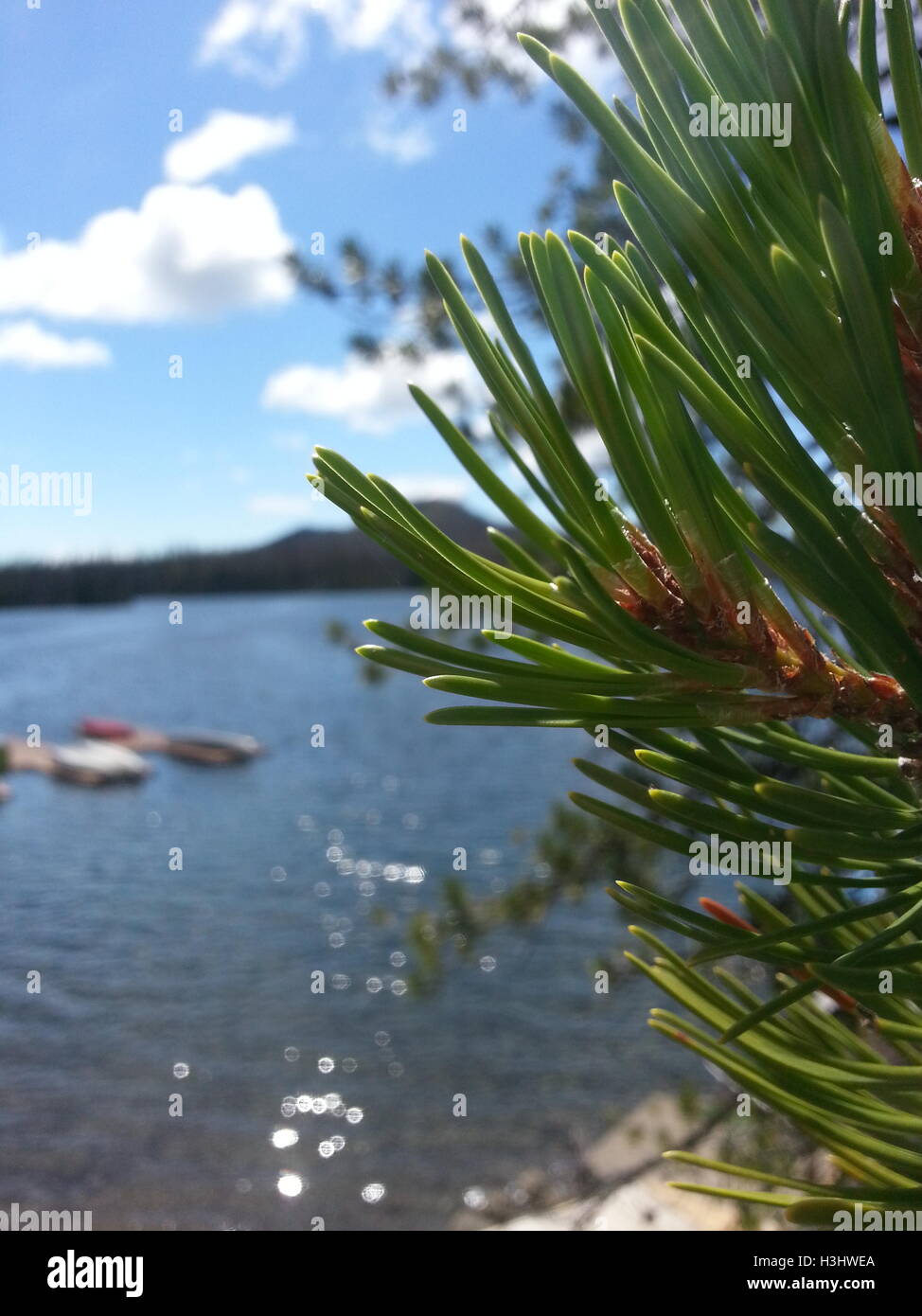 Großen See Youth Camp am Nachmittag, mit der Sonne funkeln aus dem Wasser und beobachten aus der Ferne Kaskaden. Stockfoto