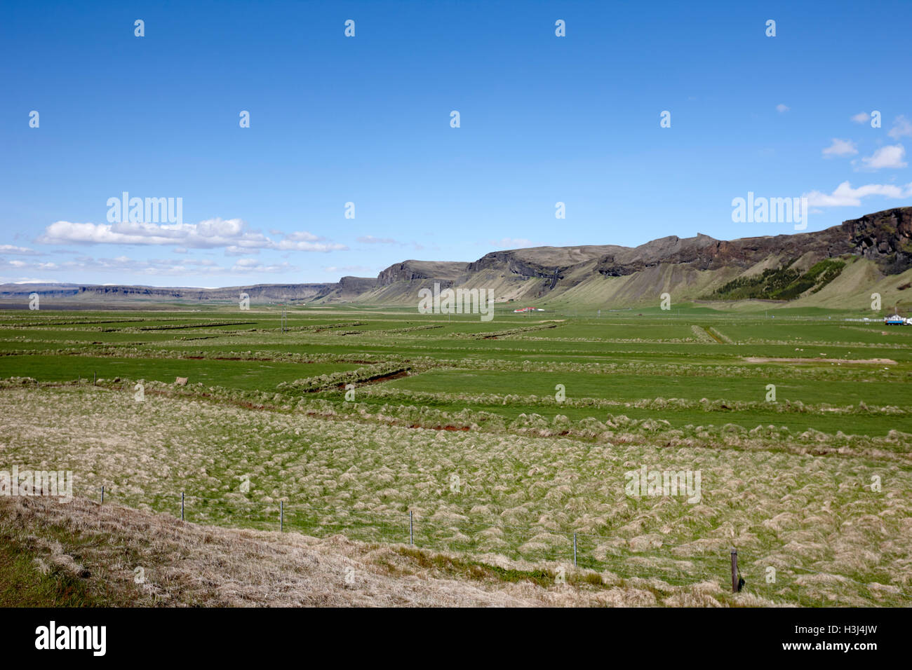 üppige fruchtbare isländischen Bauernhof und Ackerland mit durchlässigen Feldern Island Stockfoto