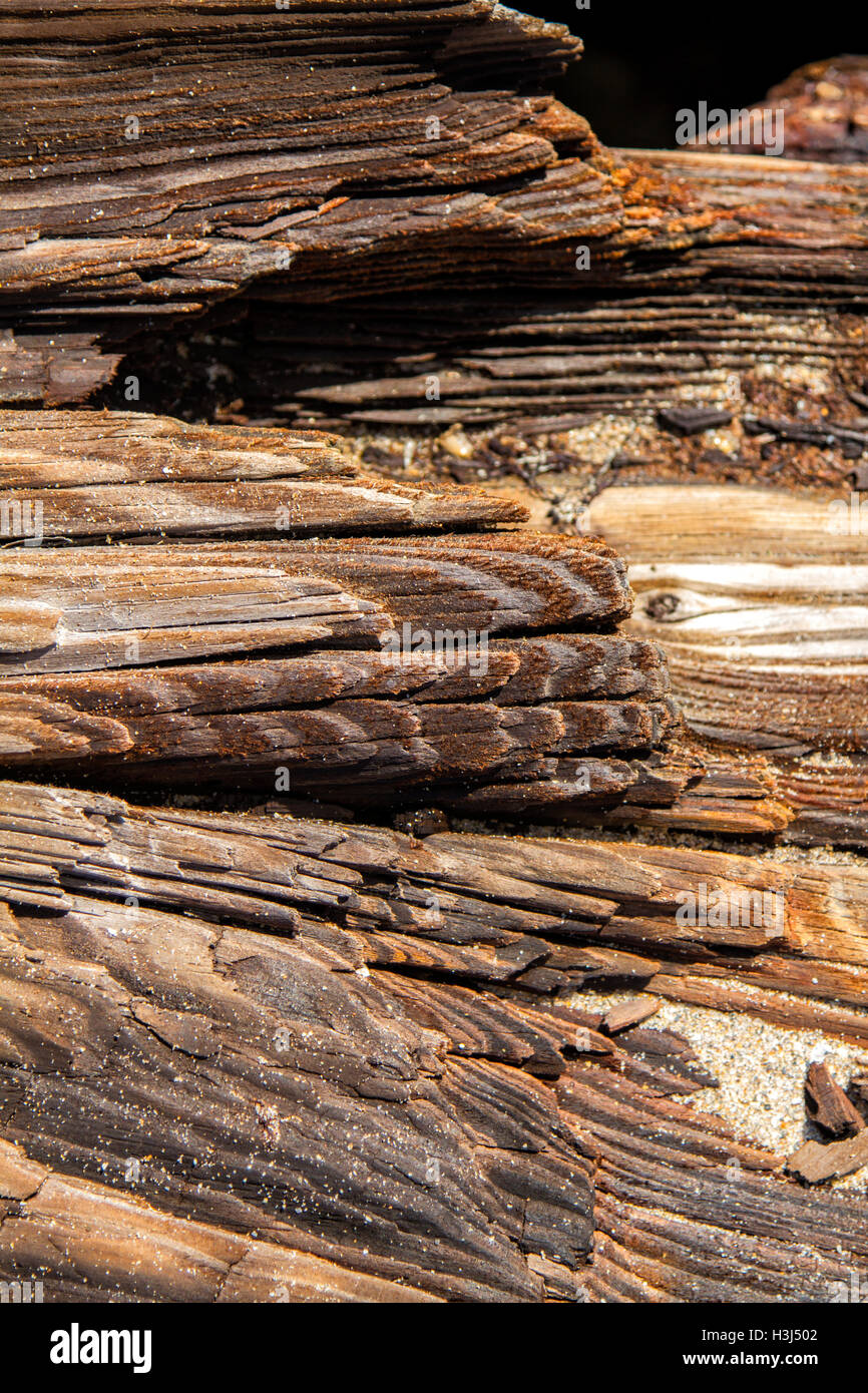 Zeit und den Elementen haben Holzbalken an der Anlegestelle Hillsboro Einlass in eine federleichte Textur überstanden. Stockfoto
