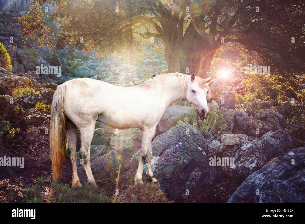 Einhorn Realistische Fotografie Stockfotografie Alamy