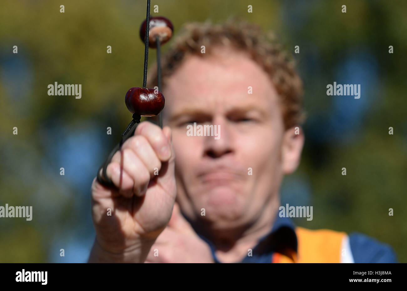 Ein Konkurrent nimmt ein Schuss bei der 51. Conker WM im Shuckburgh Arms in Southwick, Northamptonshire. Stockfoto