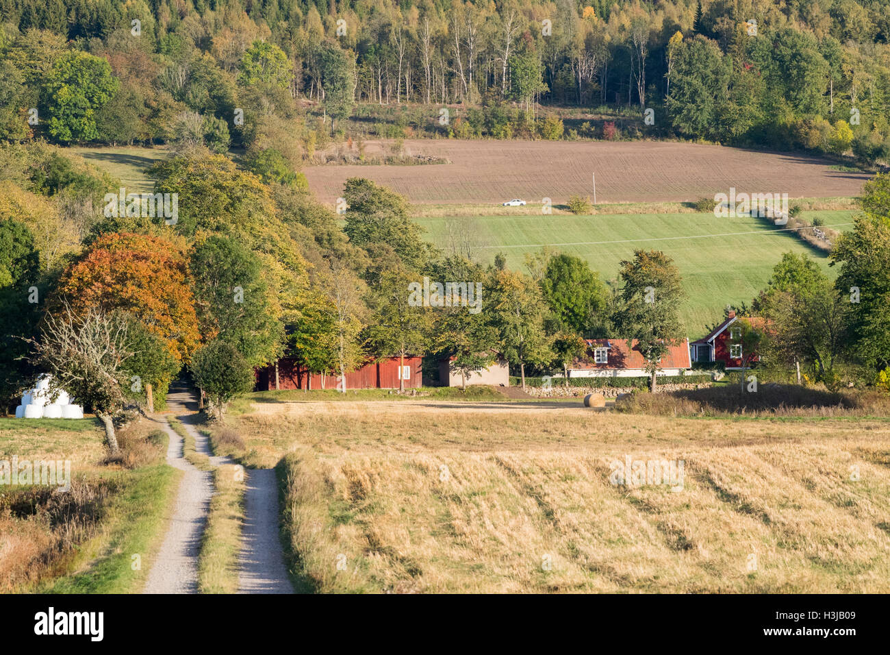 Herbst in der Landschaft von Vastergotland, Schweden Stockfoto