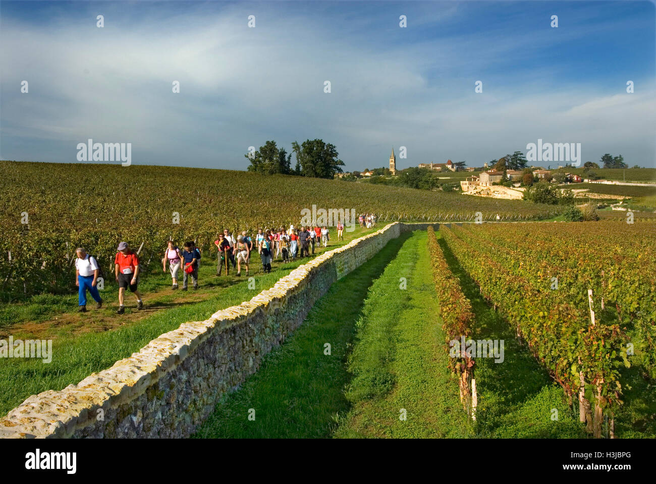 SAINT EMILION ST-EMILION geführte Wanderungen zu Fuß durch Saint Emilion Weinberge von Château Troplong Mondot Weinberg Saint Emilion Bordeaux Frankreich Stockfoto
