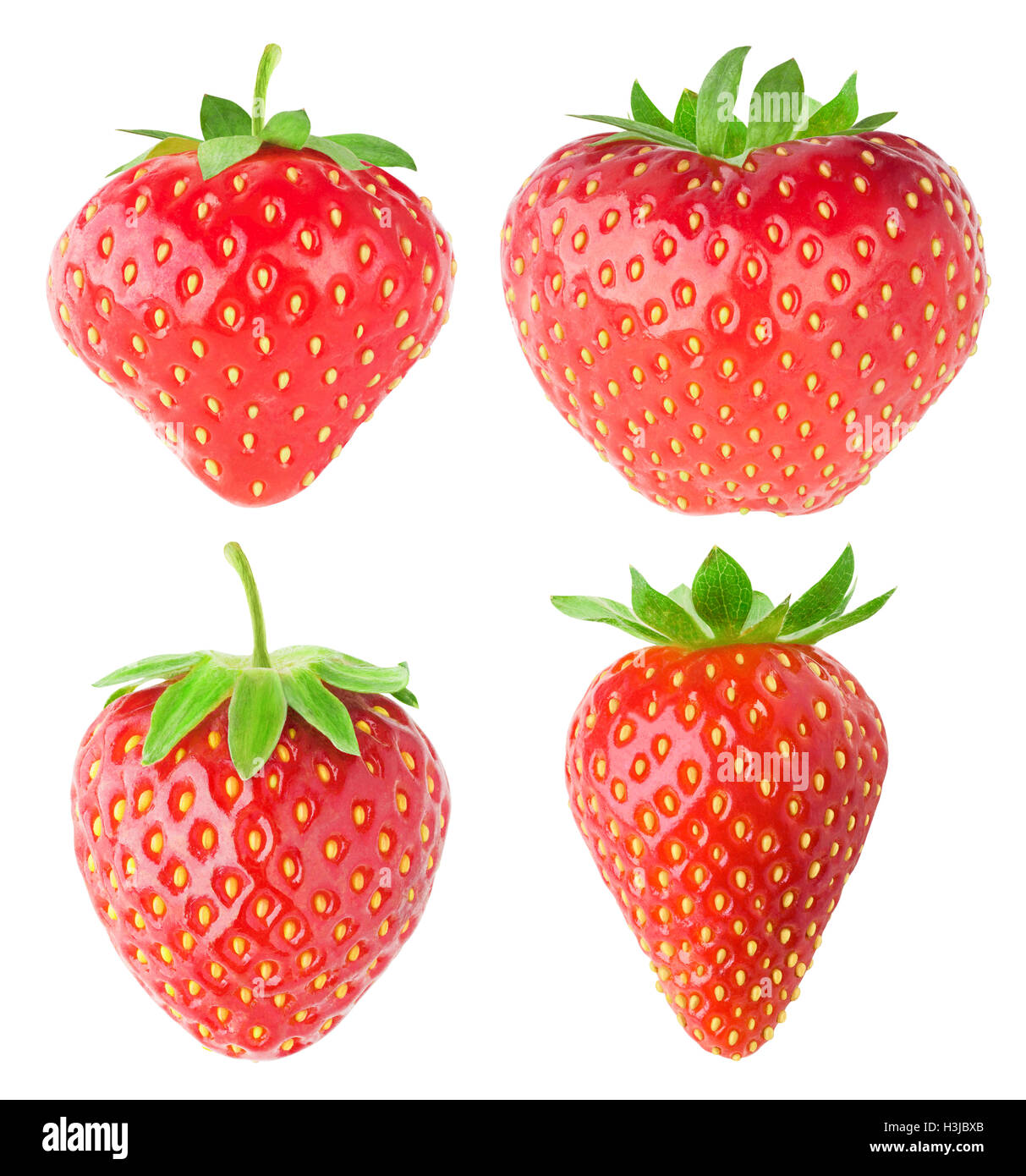 Isolierte Erdbeeren. Sammlung von Erdbeeren Früchte verschiedener Form isolierten auf weißen Hintergrund mit Beschneidungspfad Stockfoto