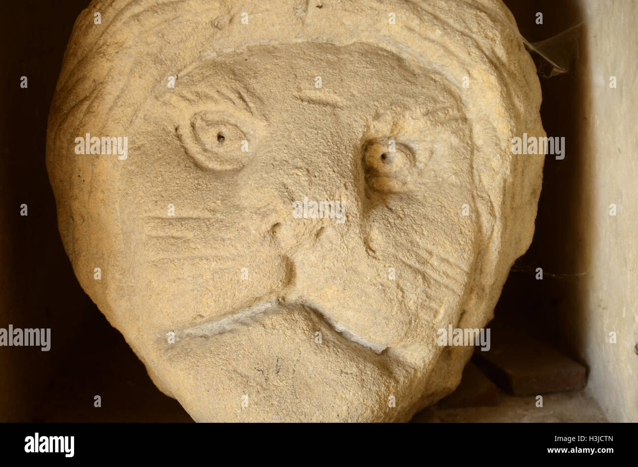 Schnitzen eines Löwen aus Stein "Gesicht, Denny Abtei Stockfoto