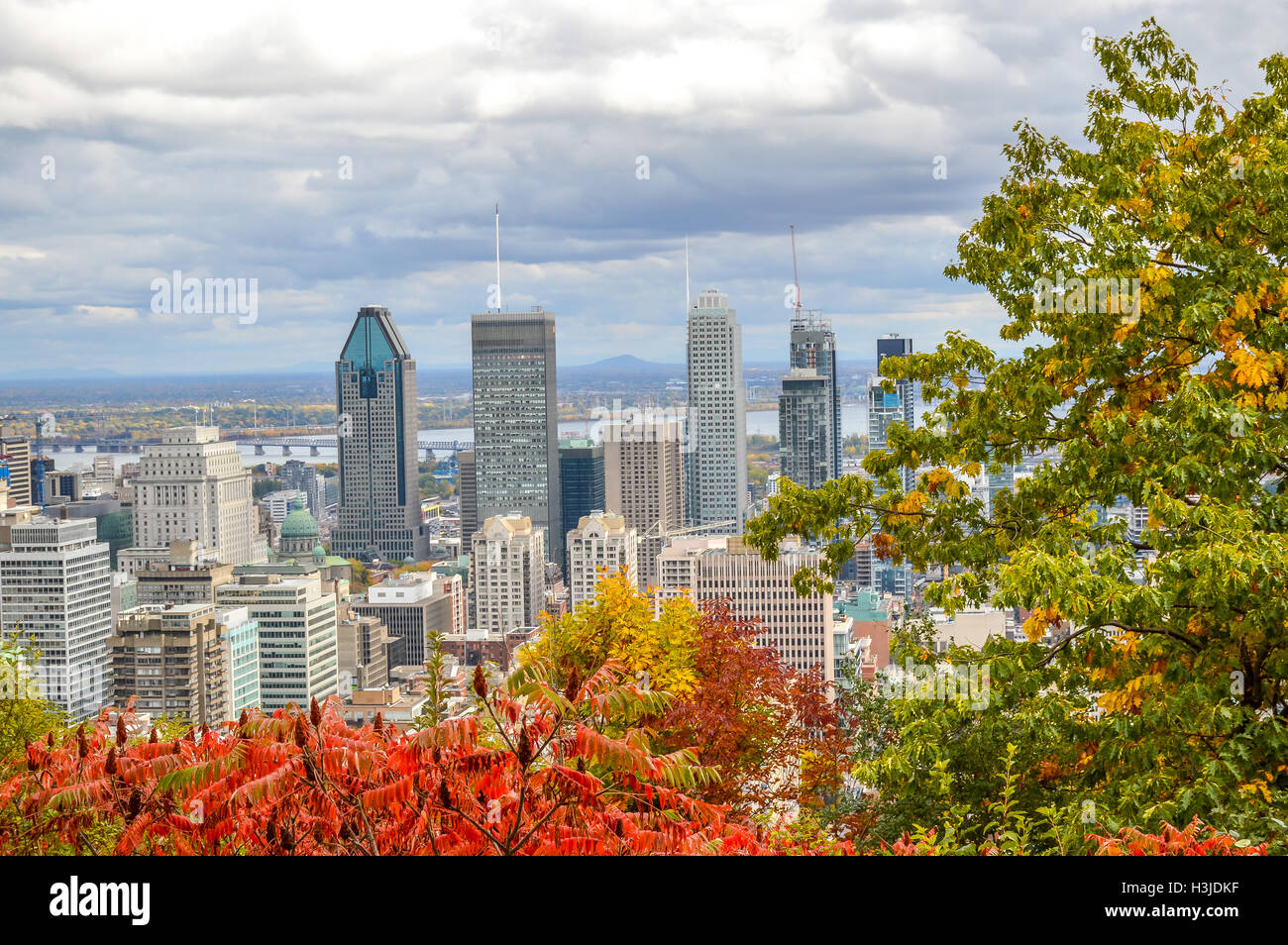 Skyline von Montreal im Herbst, Kanada Stockfoto