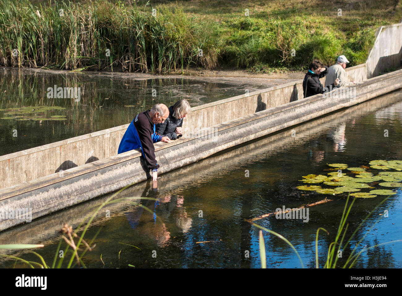 Moses Brücke Niederlande am Fort De Roovere Teil der holländischen Wasserlinie. Stockfoto