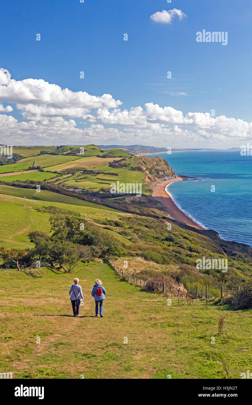 Wanderer, Abstieg vom Gipfel des Golden Cap auf die SW Coast Path, Jurassic Coast, Dorset, England, UK Stockfoto