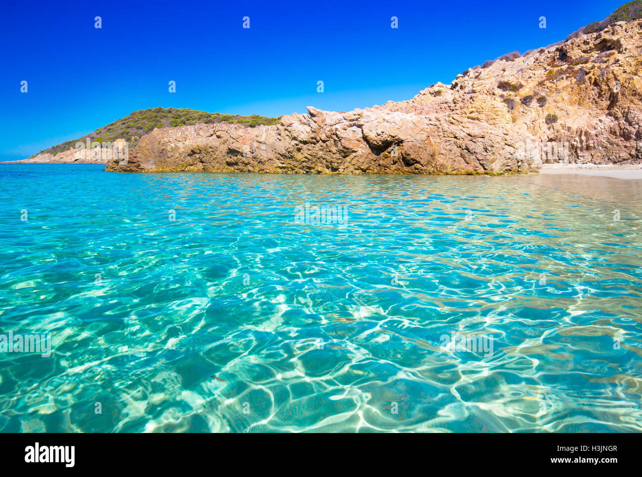 Schöner Sandstrand mit Felsen und Tourquise klares Wasser in der Nähe von Cargese, Korsika, Frankreich, Europa. Stockfoto