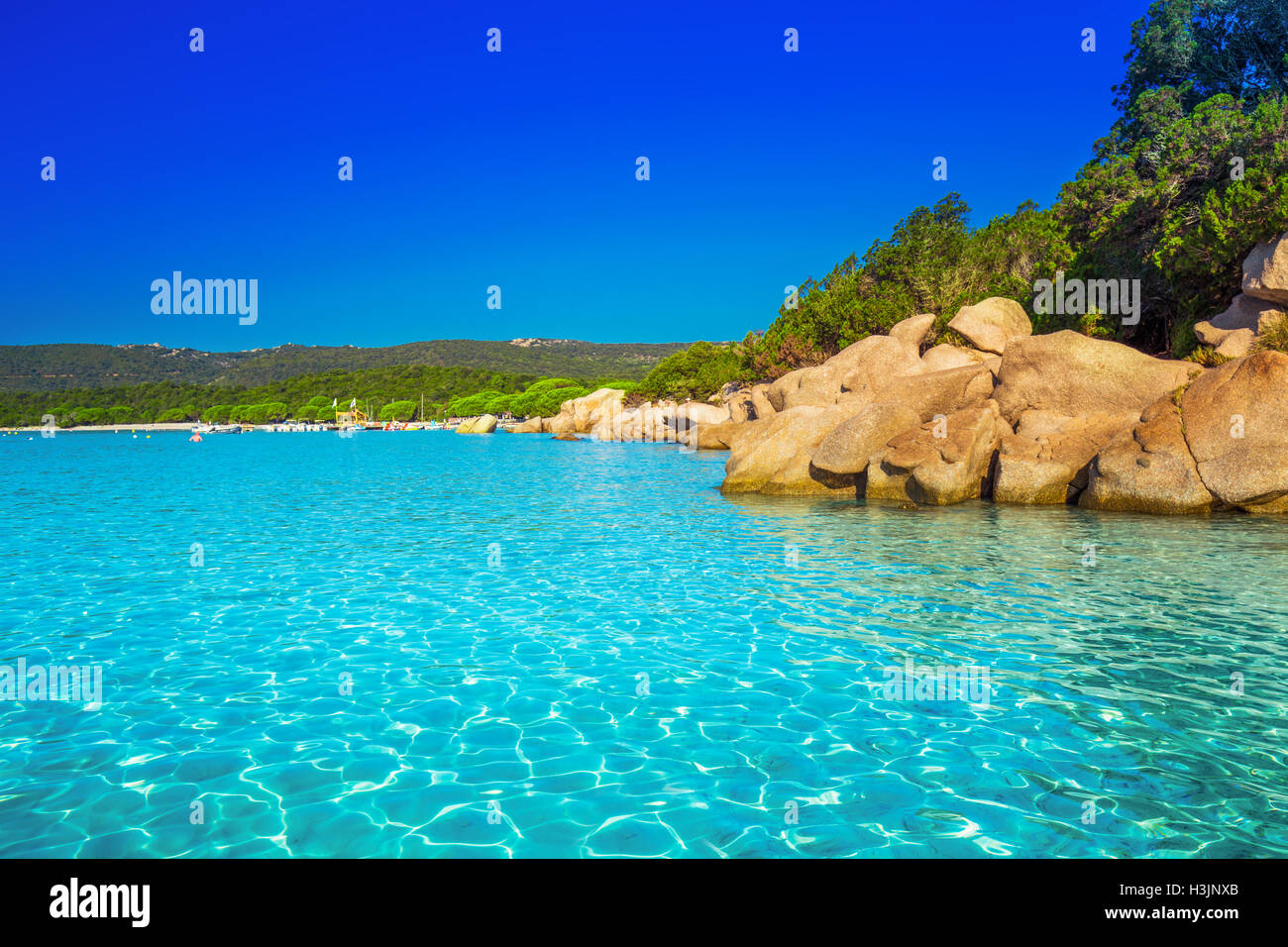 Strand von Santa Giulia mit roten Felsen, Kiefern und Azure klares Wasser, Korsika, Frankreich. Stockfoto