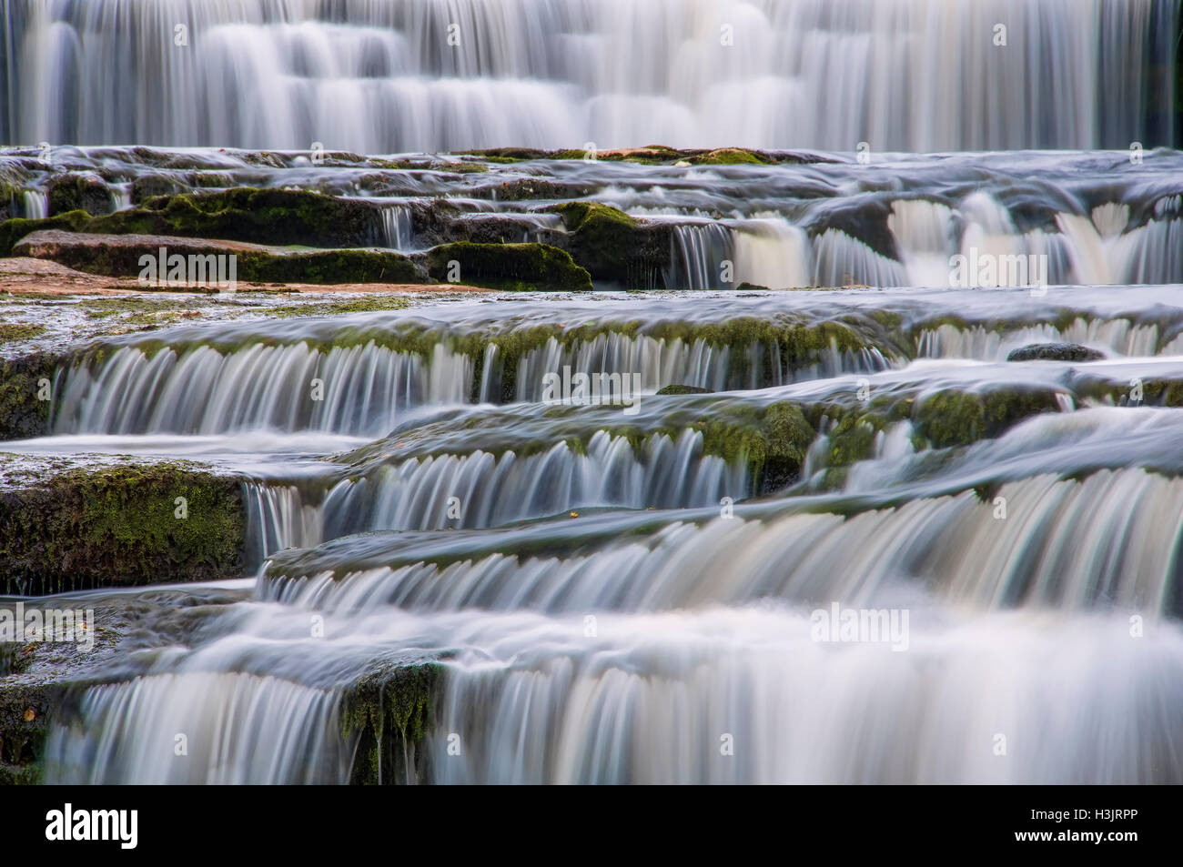 Aysgarth zu senken, Falls & Fluß Ure, Wensleydale, Yorkshire Dales National Park, Yorkshire, England, UK Stockfoto