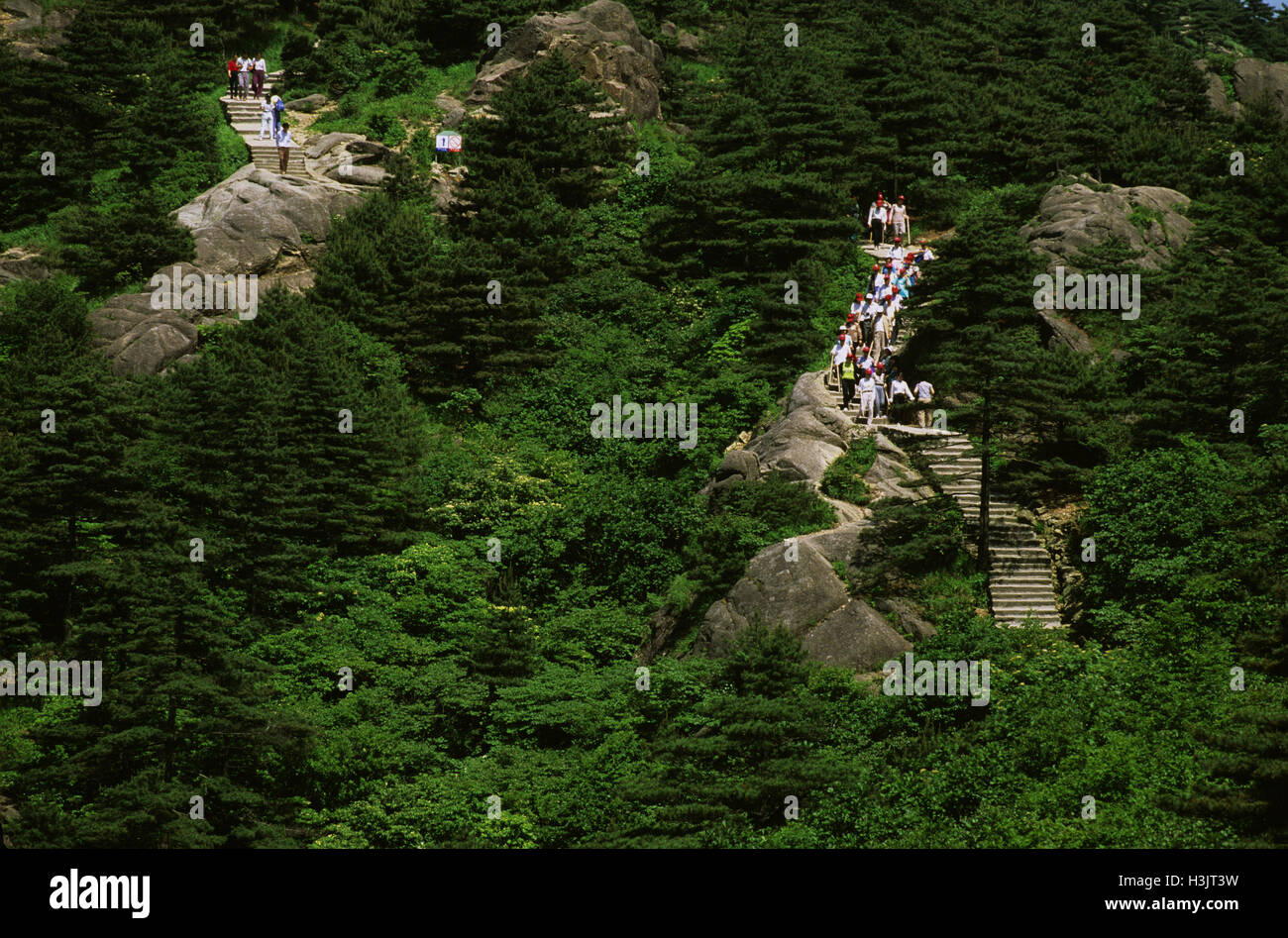 Huangshan "Den gelben Bergen", Stockfoto