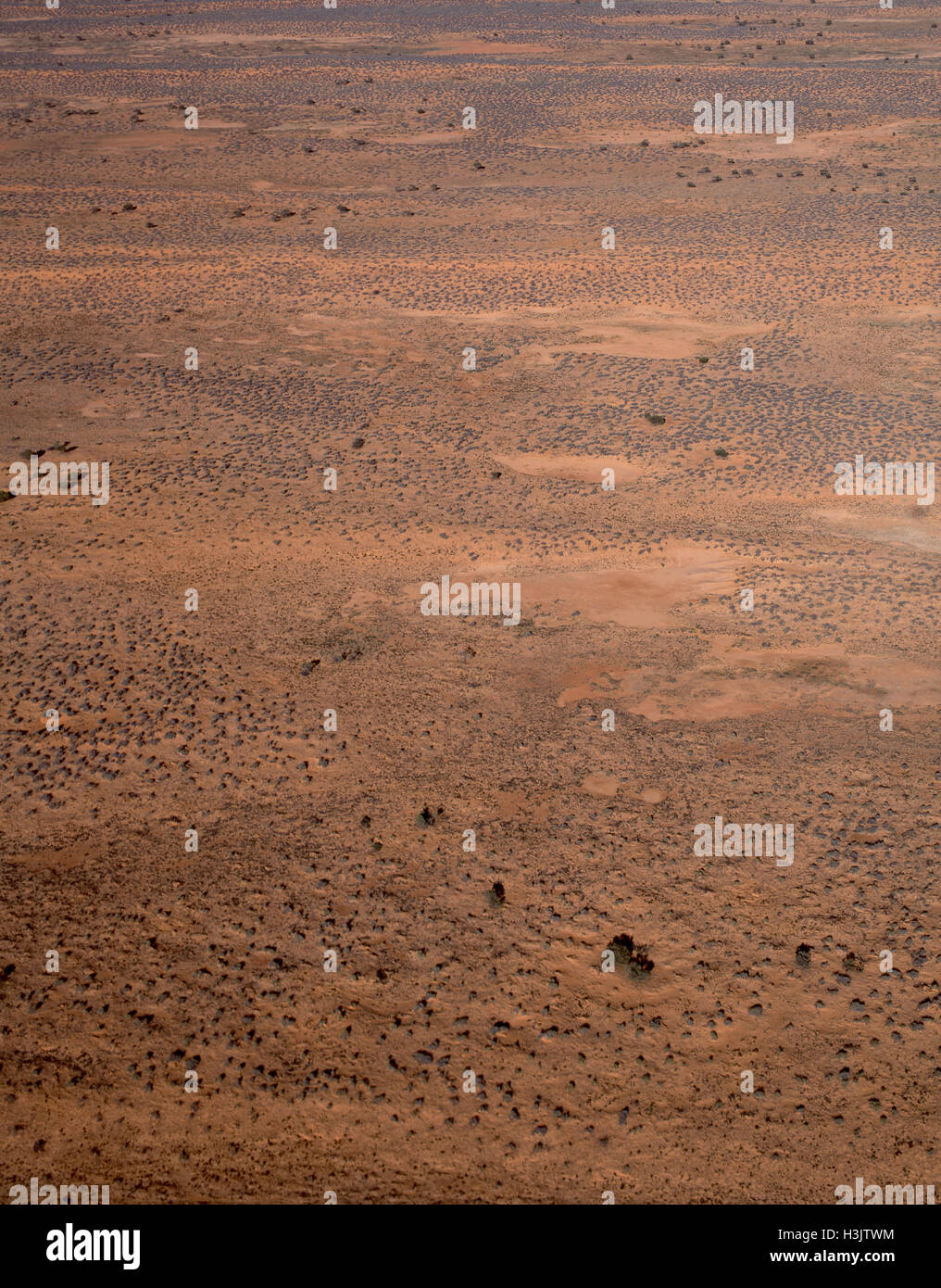 Dunefields (Dünen und interdune Flure), Stockfoto