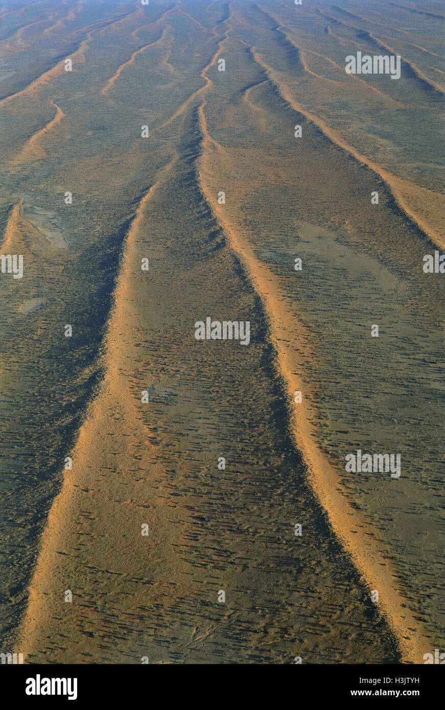 Dunefields, Dünen und interdune Flure, Stockfoto