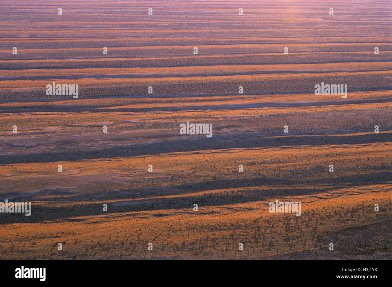 Dunefields mit längs-Sanddünen, Stockfoto