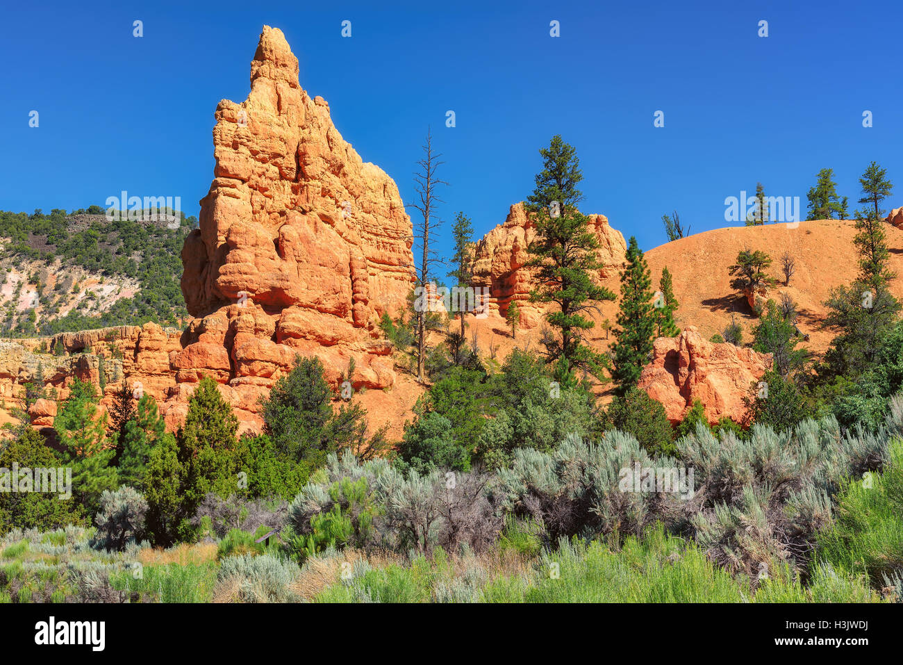 Berge im Bryce-Canyon-Nationalpark, Utah, Vereinigte Staaten Stockfoto