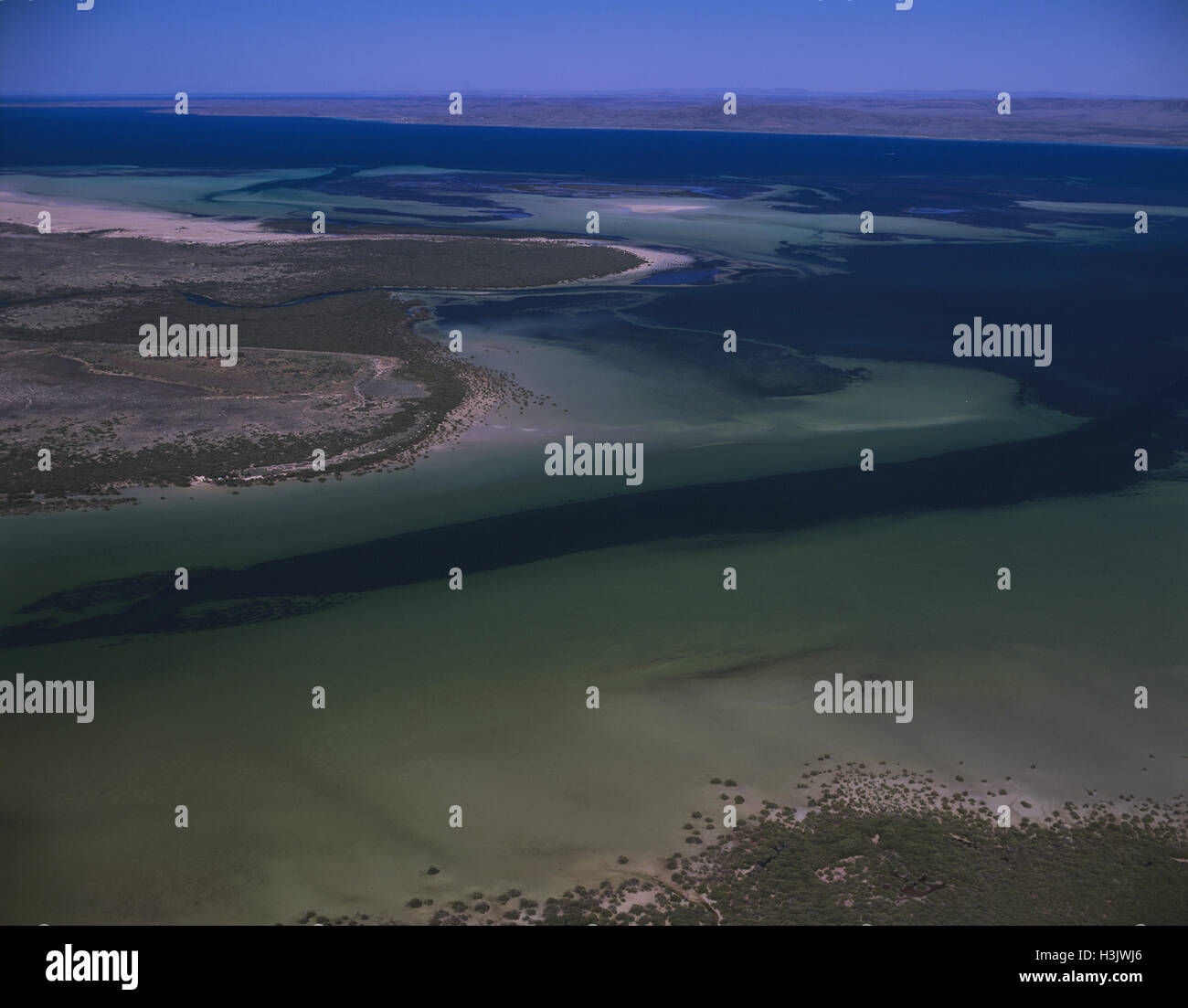 Spencer Gulf Küste nördlich von Port Pirie, Stockfoto