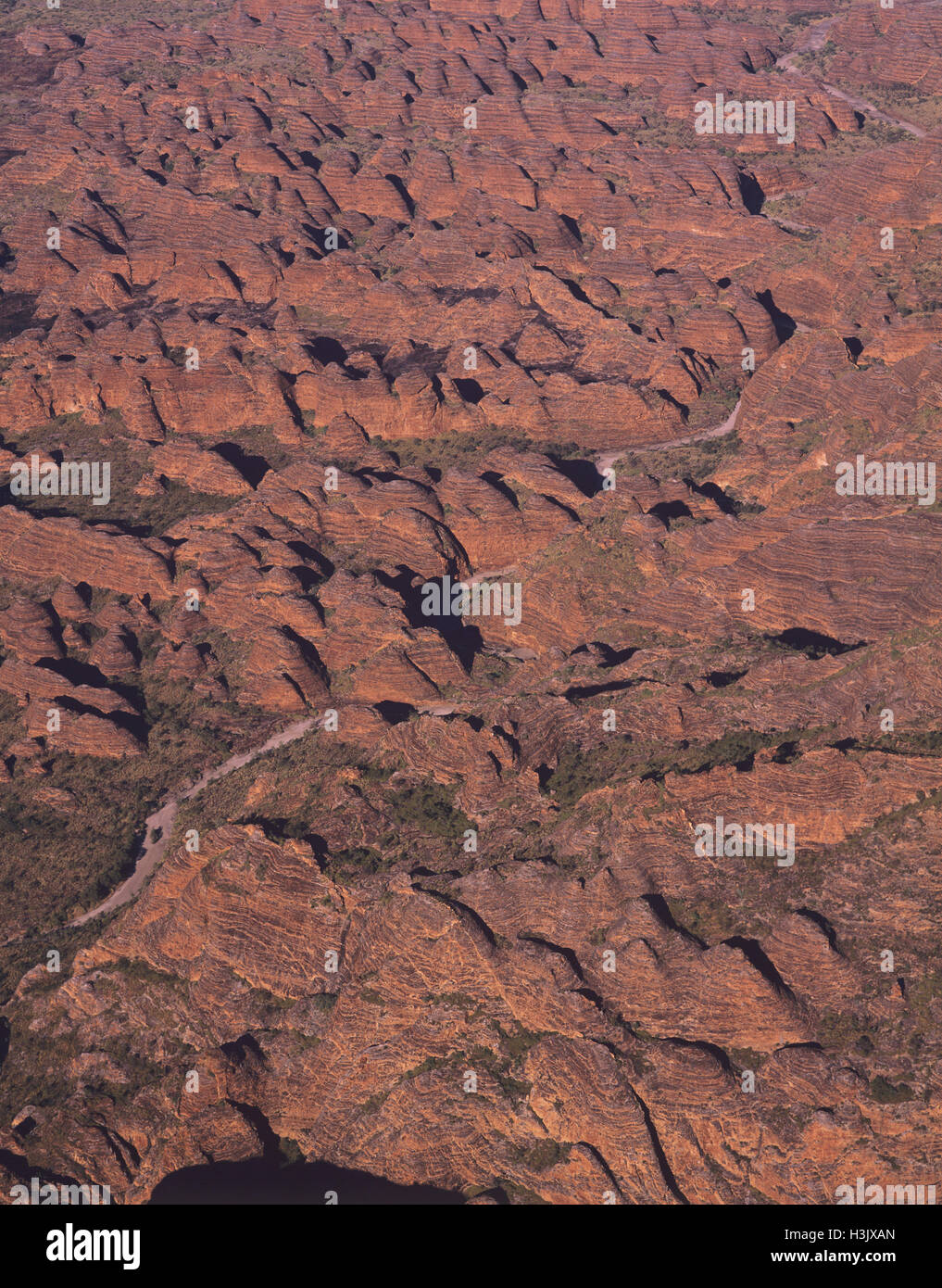 Bungle Bungle Range, Luftaufnahme. Stockfoto