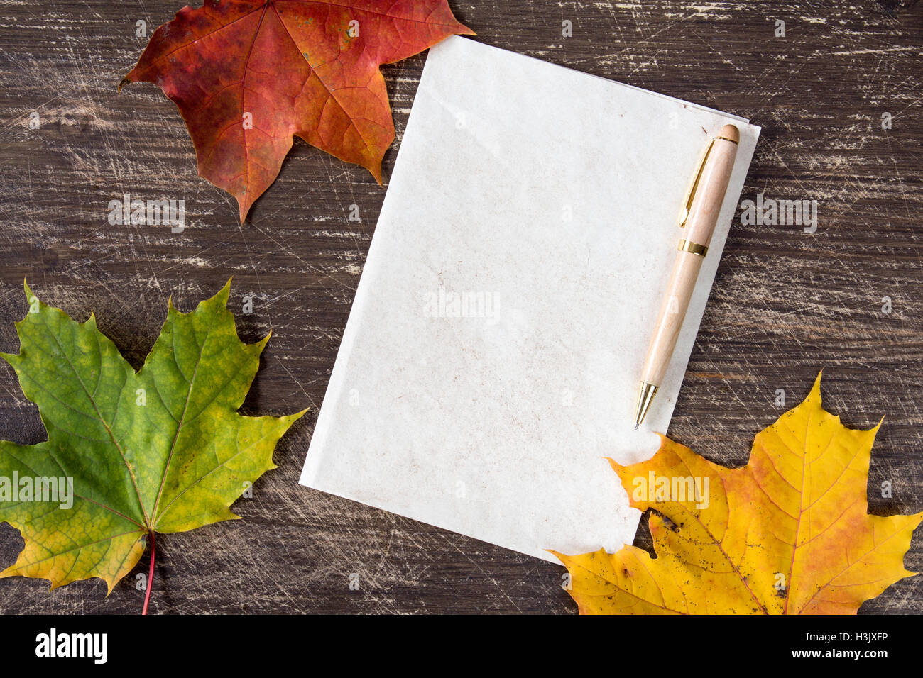 Herbst Hintergrund mit welken Blättern und Blankopapier Seite für Textfreiraum Stockfoto