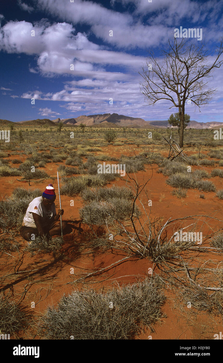 Aboriginal Frau vom Berg Liebig (luritja Sprache Gruppe) Stockfoto