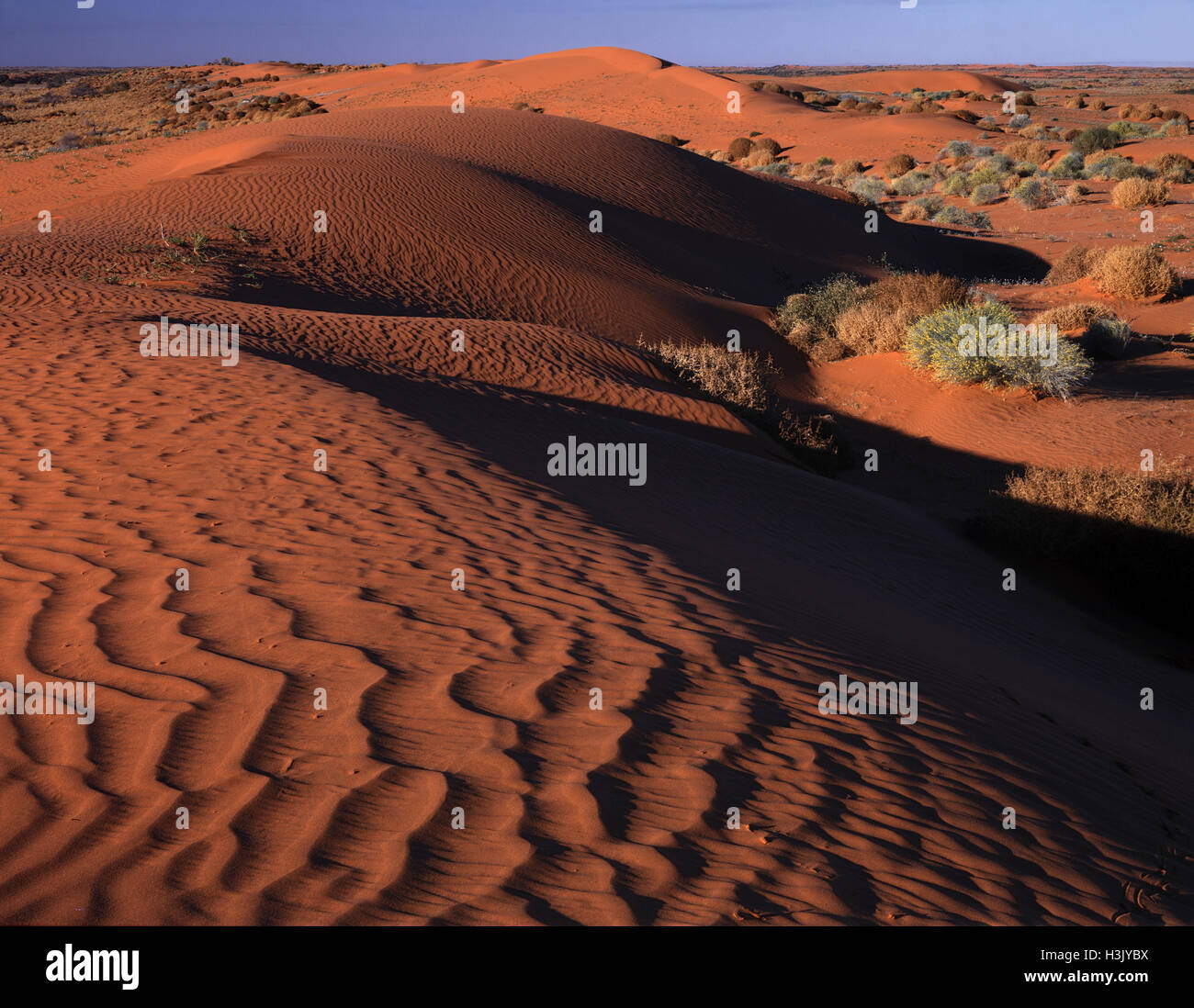 Sanddünen der Wüste, Stockfoto