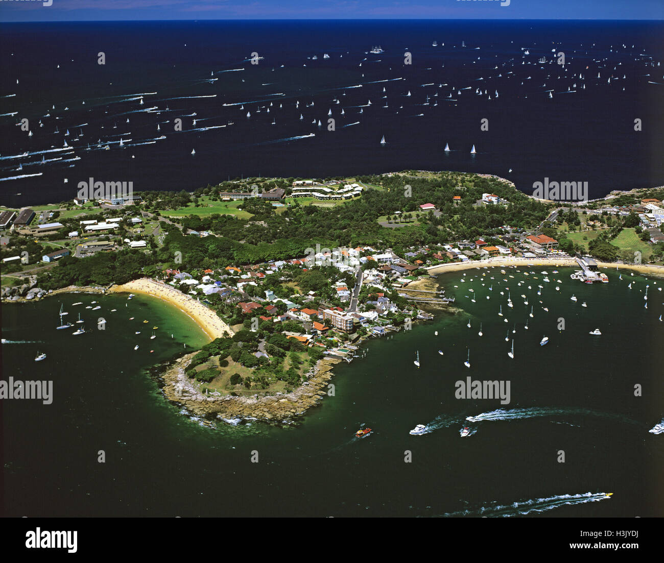 Camp Cove, Laings Point und Watsons Bay Stockfoto