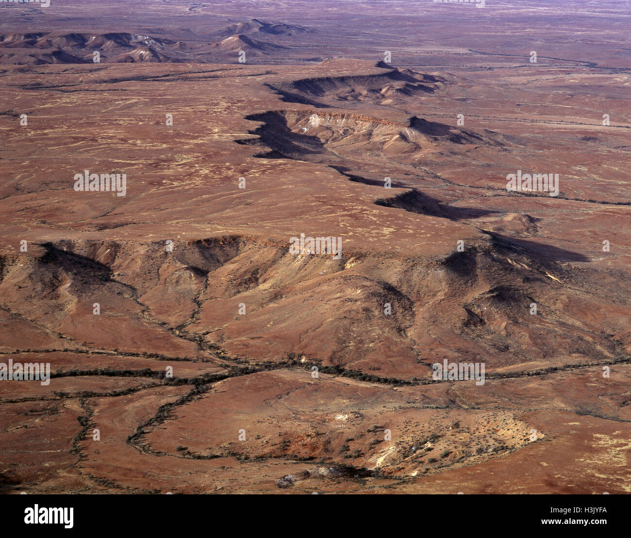 Simpson Wüste Stockfoto