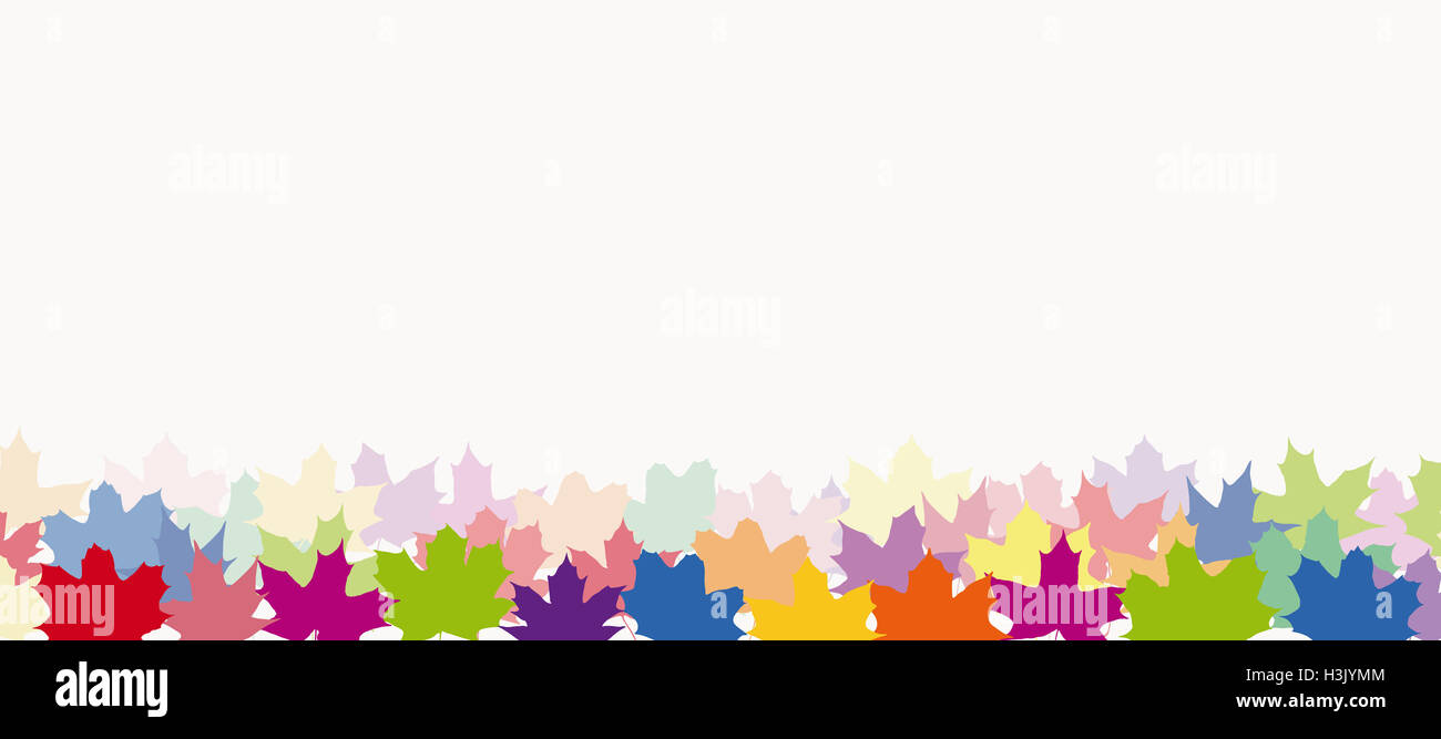 Ahornblätter in verschiedenen Farben in drei Reihen für Herbst Hintergrund Stockfoto