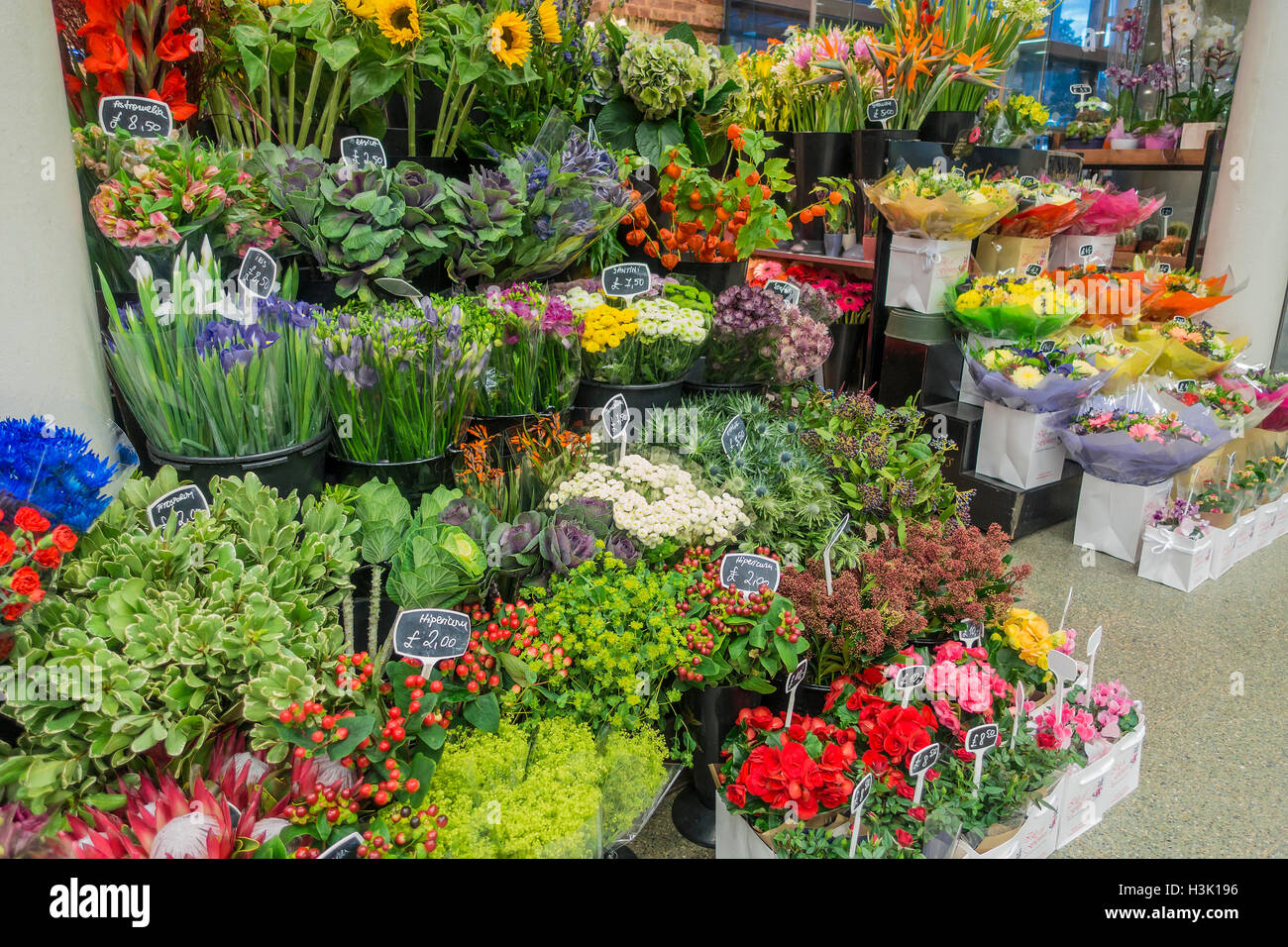 Florist Shop Anzeige Stockfoto