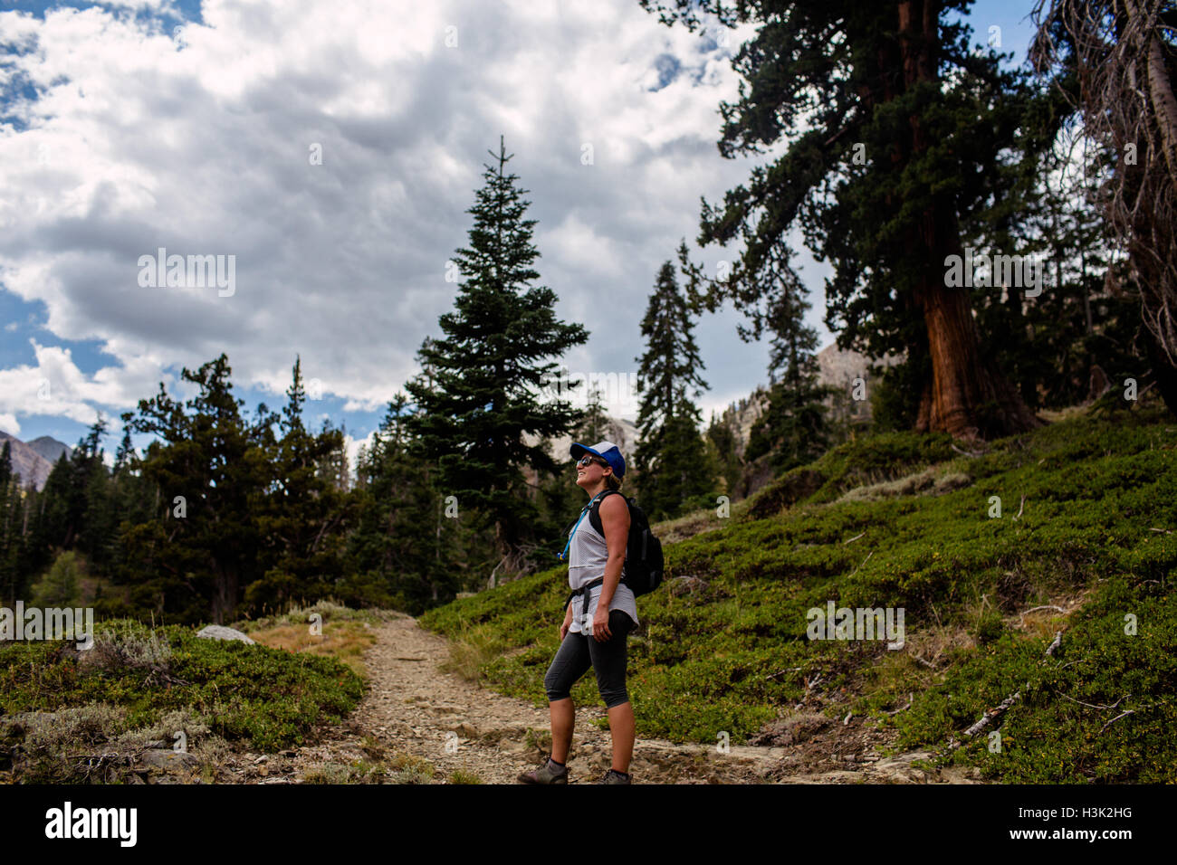 Weibliche Wanderer Blick auf Ansicht, Mineral King, Sequoia Nationalpark, Kalifornien, USA Stockfoto