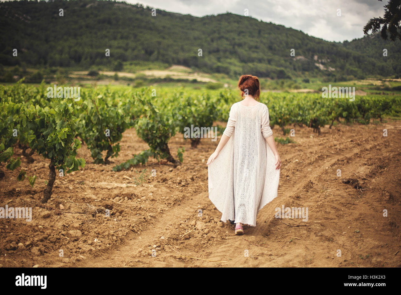 Junge Frau, die zu Fuß durch Weinberge, Rückansicht, Boutenac, Frankreich Stockfoto