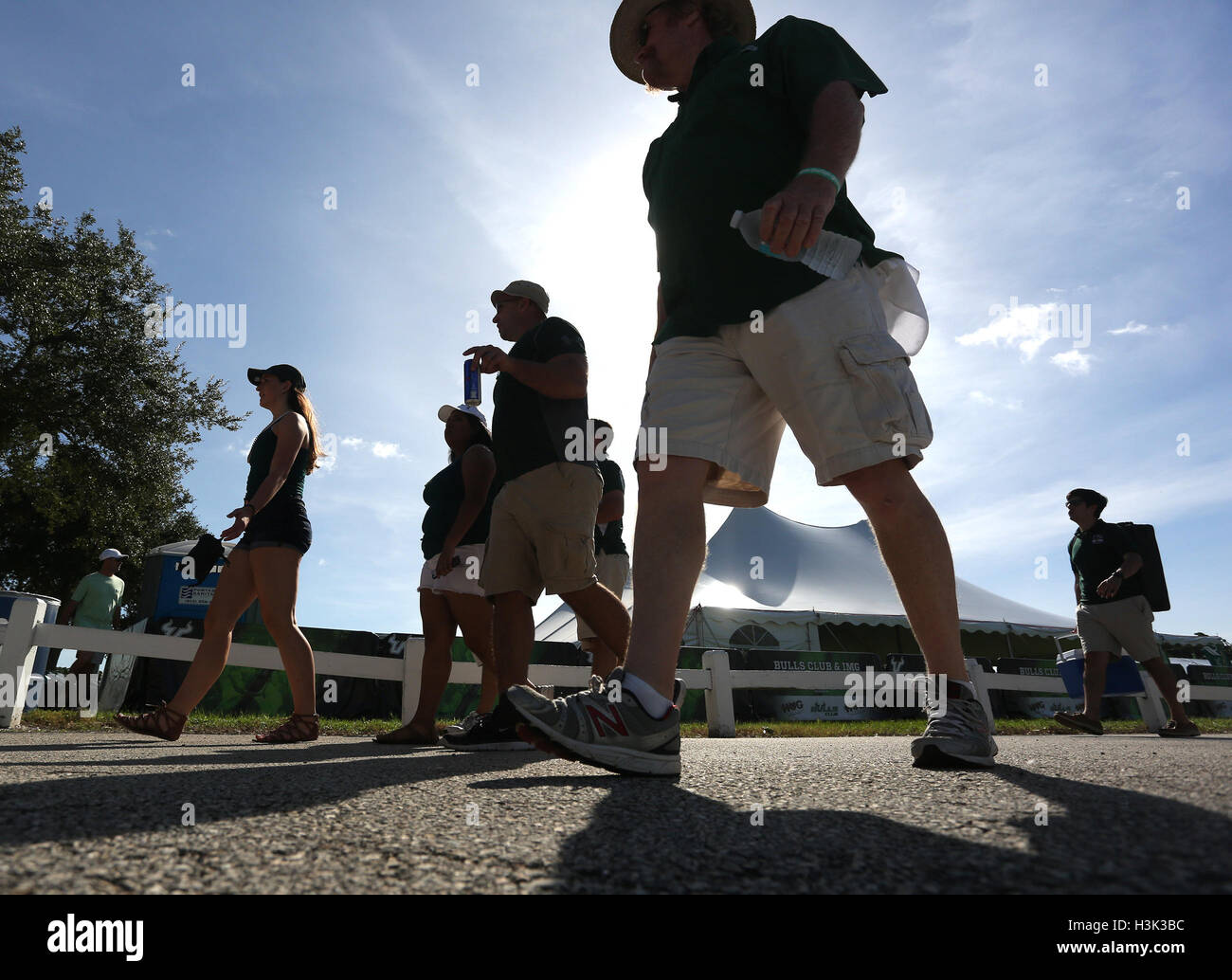 City, Florida, USA. 8. Oktober 2016. OCTAVIO JONES | Zeiten. University of South Florida Bulls Fans bereiten ihr Team Gesicht die East Carolina University Piraten im Raymond James Stadium in Tampa, Florida auf Samstag, 8. Oktober 2016 zu sehen. USF besiegt East Carolina 38 bis 22. © Octavio Jones/Tampa Bay Times / ZUMA Draht/Alamy Live News Stockfoto