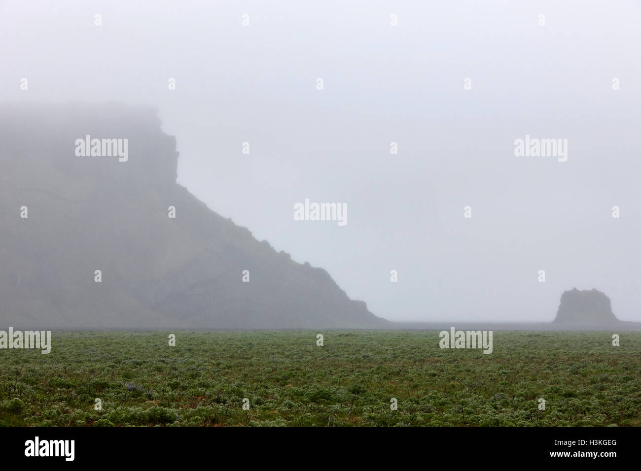 Nebel im Lavafeld und Berge in der Nähe von Vik Island schließen Stockfoto