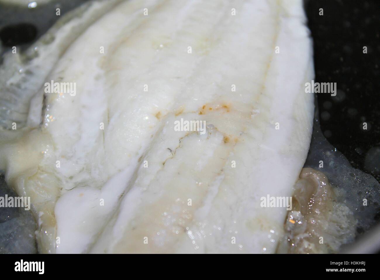 Filets von Scholle in der Küche in einer Pfanne Stockfoto