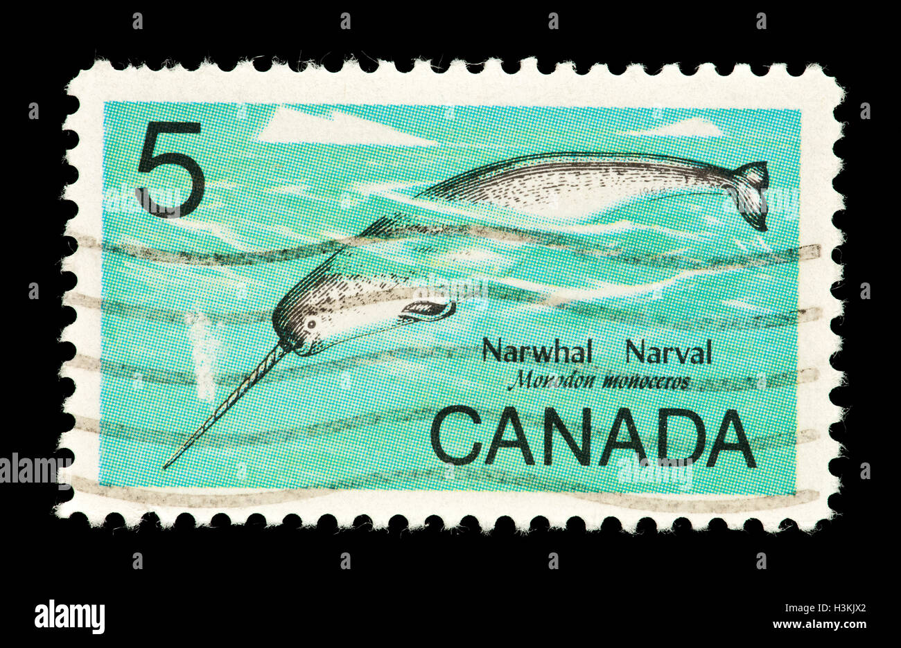 Briefmarke aus Kanada Darstellung ein Narwal (Monodon Monoceros) Stockfoto