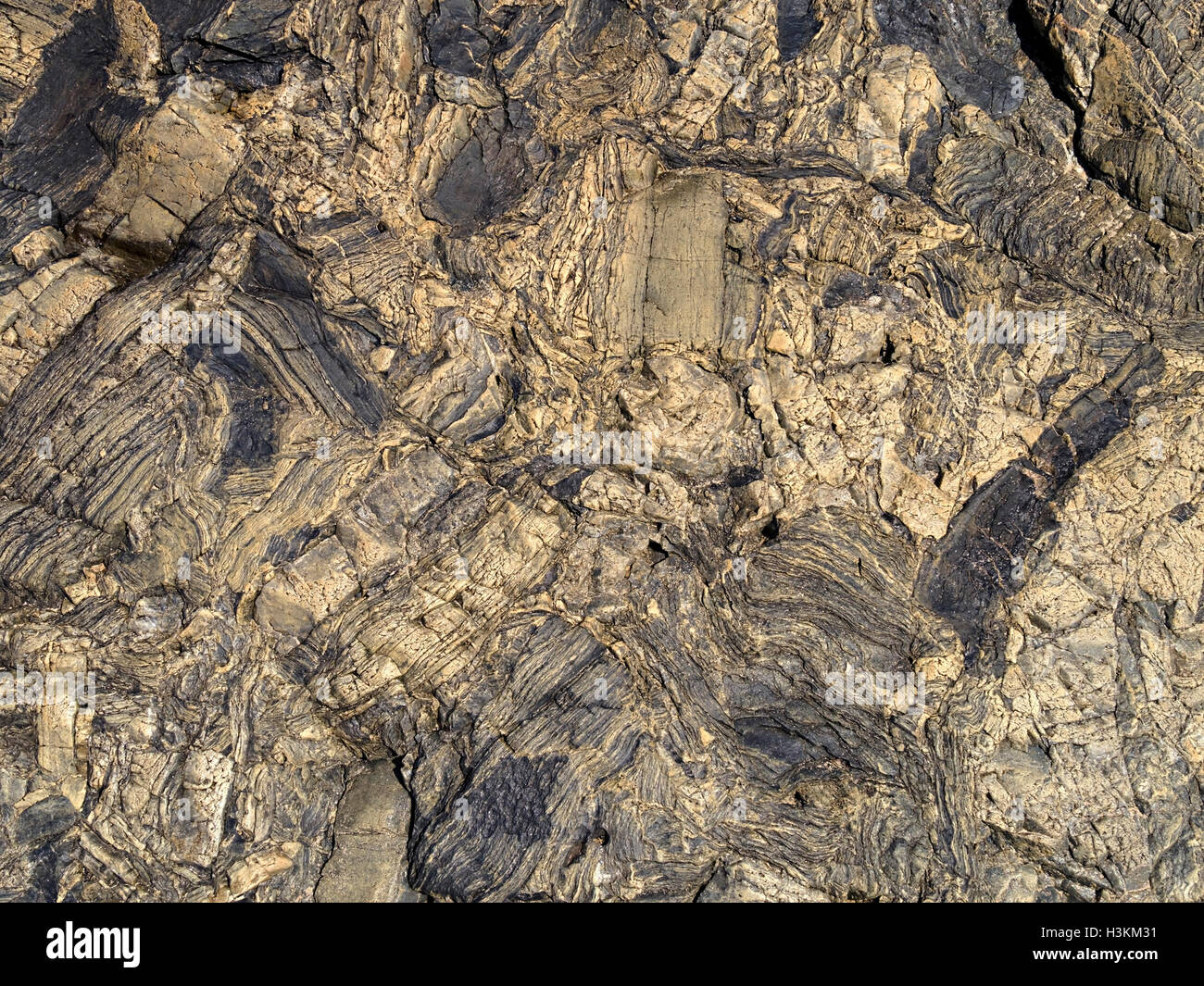 Vulkanische Brekzie aus Sedimentgestein, Kiloran Bay, Insel Colonsay, Scotland, UK. Stockfoto