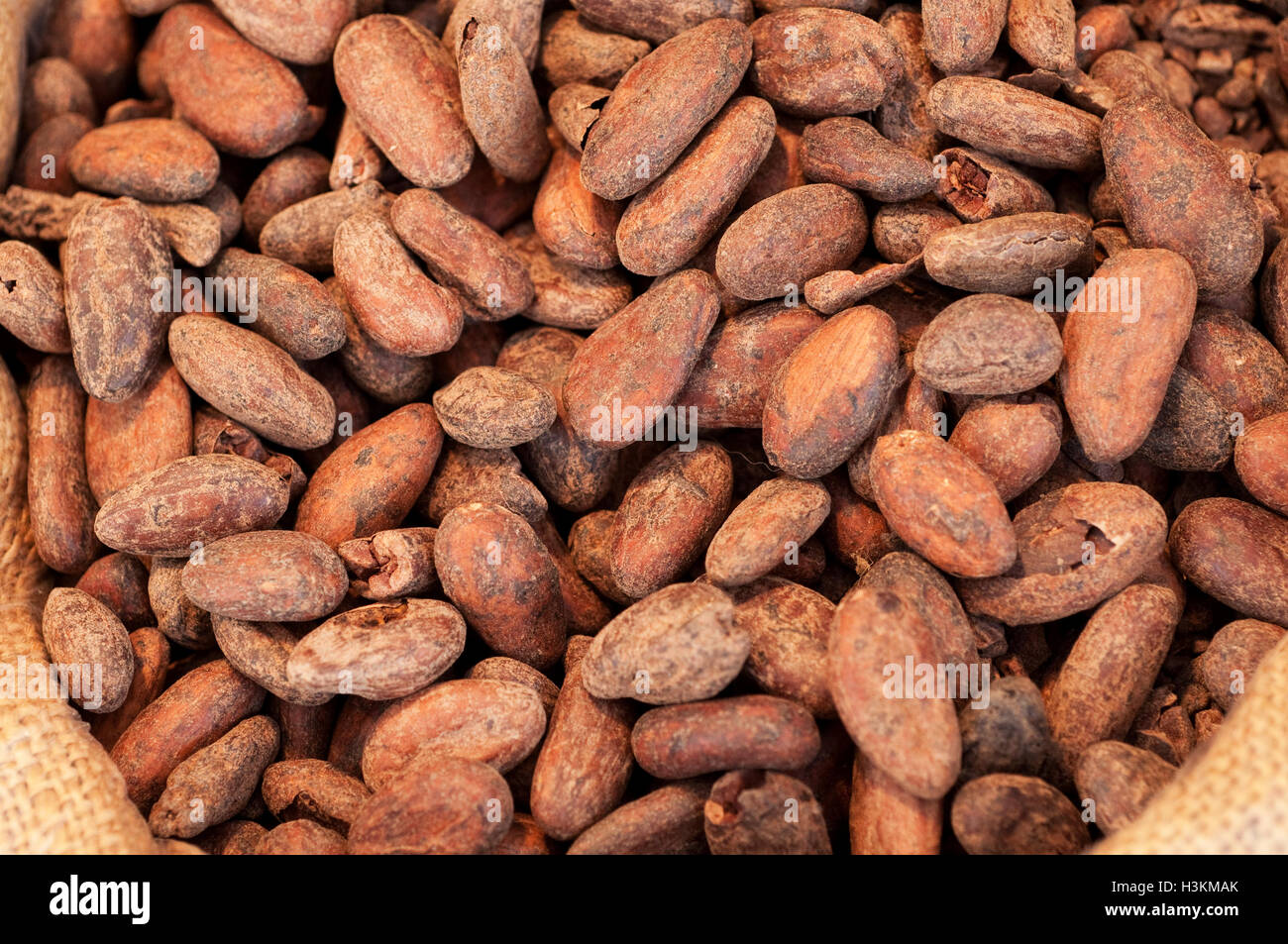 Kakaobohnen, Schokolade Zutat Stockfoto