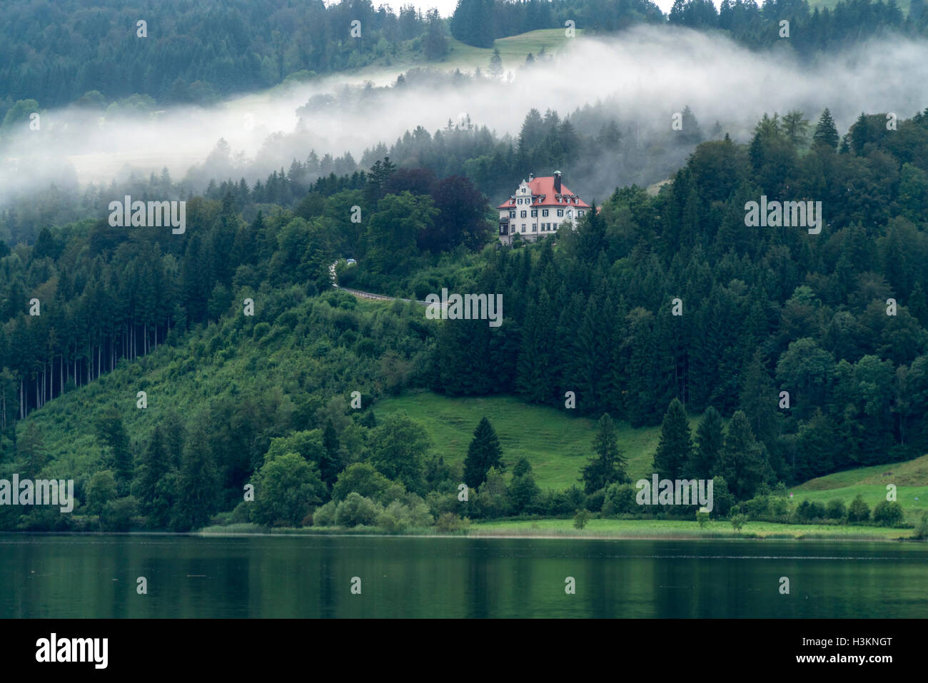 Morgennebel am See Großer Alpsee bei Bühl, Immenstadt Im Allgäu, Oberallgäu, Bayern, Deutschland Stockfoto