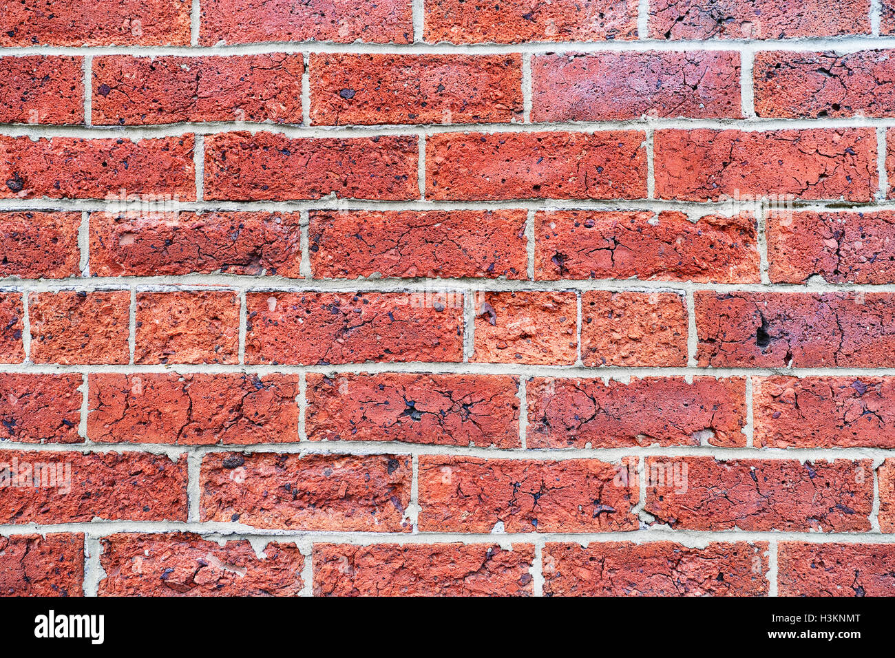 Ziegelwand. Stockfoto