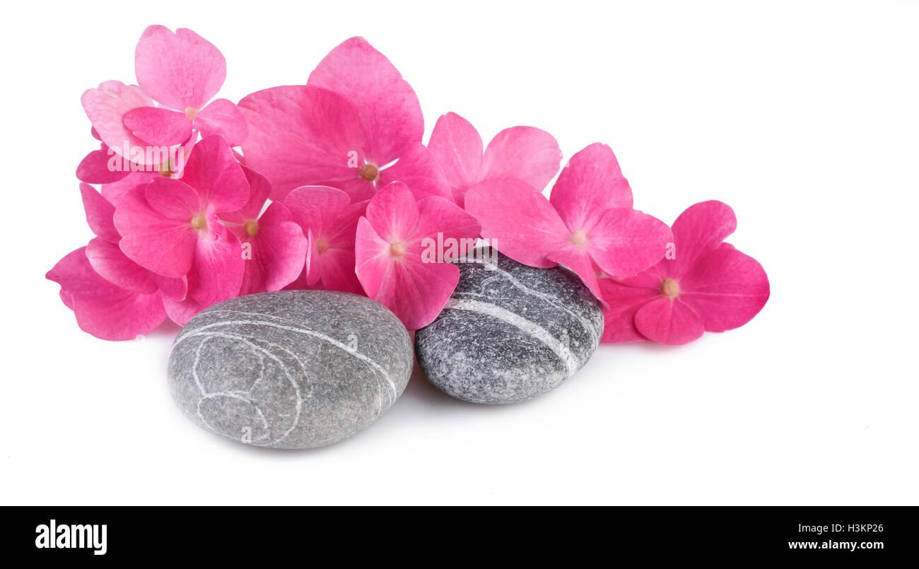 Spa-Steinen mit rosa Blumen auf weißem Hintergrund Stockfoto