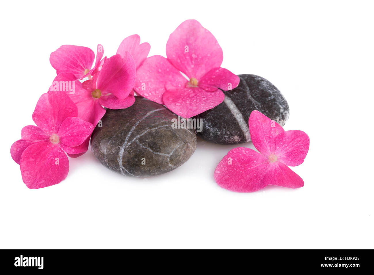 Spa-Steinen nass mit rosa Blüten Stockfoto