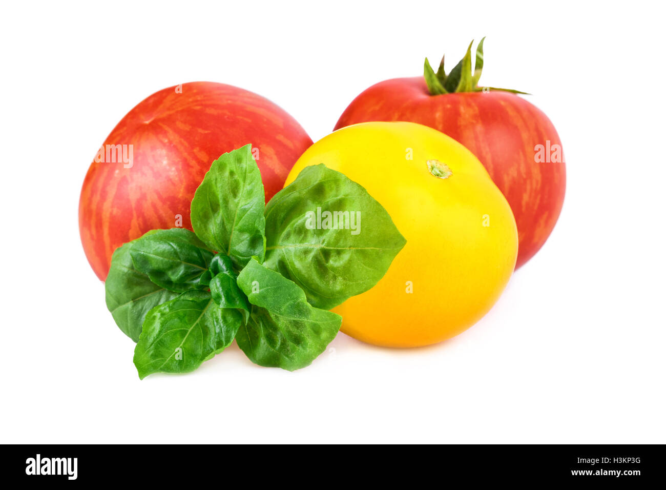 Tomaten rot und gelb mit Basilikum Stockfoto