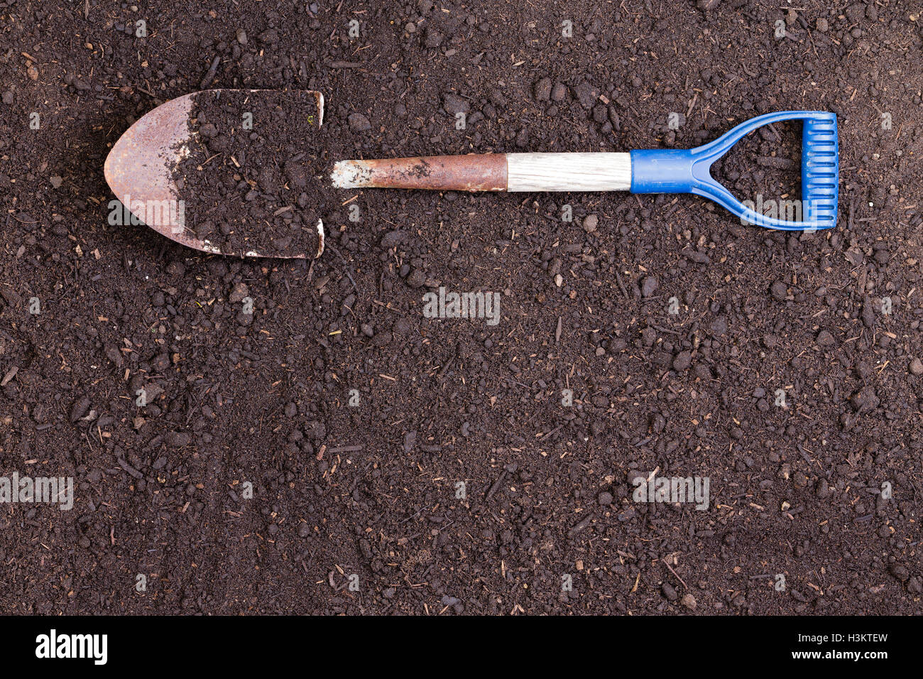 Spaten Sie mit einen blauen Griff und Erde auf dem Blatt auf eine vorbereitete Bett reichen Gesundheit Boden liegend mit textfreiraum in einem konzeptionellen imag Stockfoto