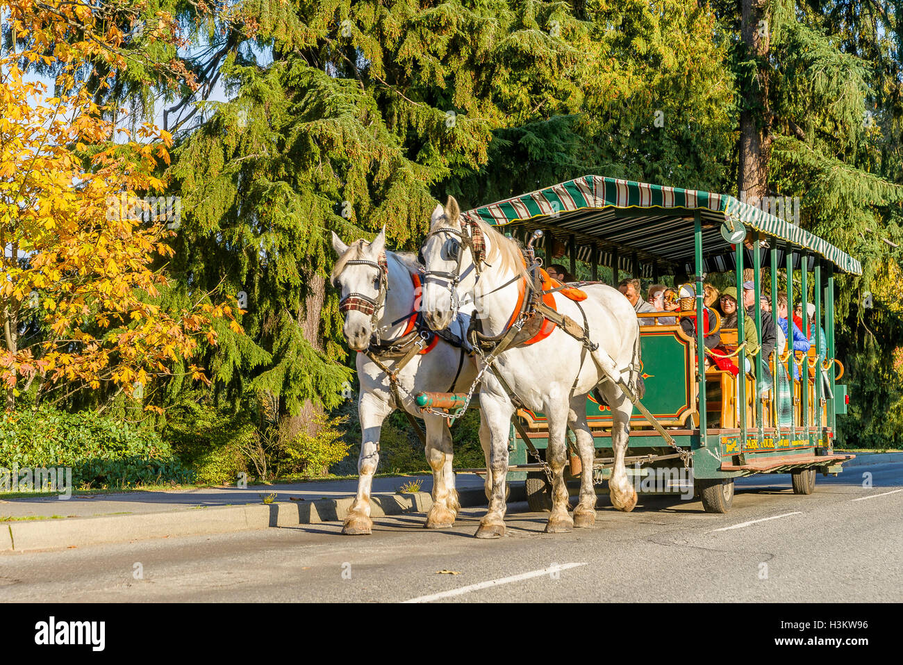 Pferdekutsche Sightseeing Tour, Stanley Park, Vancouver, Britisch-Kolumbien, Kanada. Stockfoto