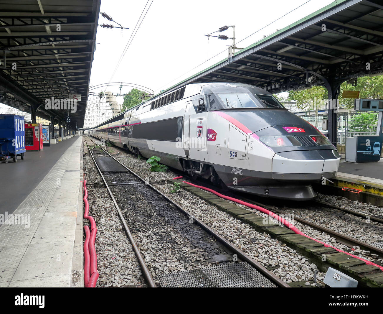 Französischen Hochgeschwindigkeitszügen (SCNF TGV) im Bahnhof Gare de Lyon in Paris, Frankreich Stockfoto