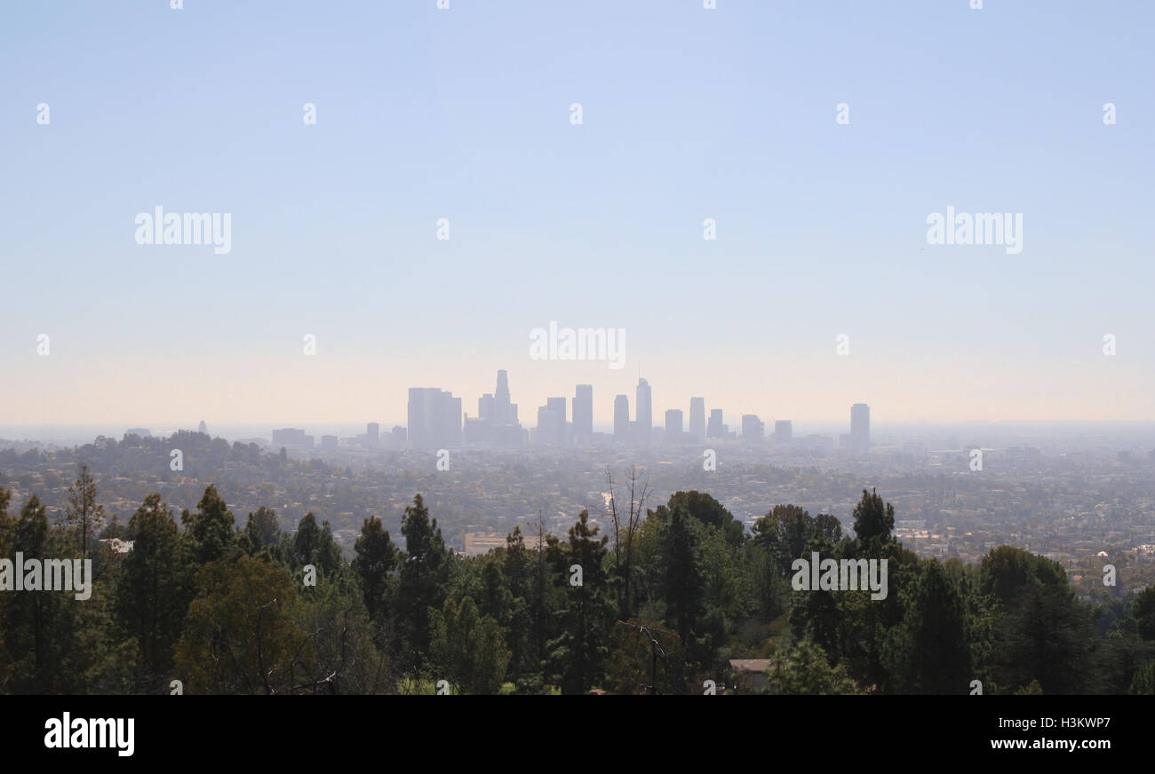 Die Innenstadt von Los Angeles als gesehen vom Griffith Park. Stockfoto