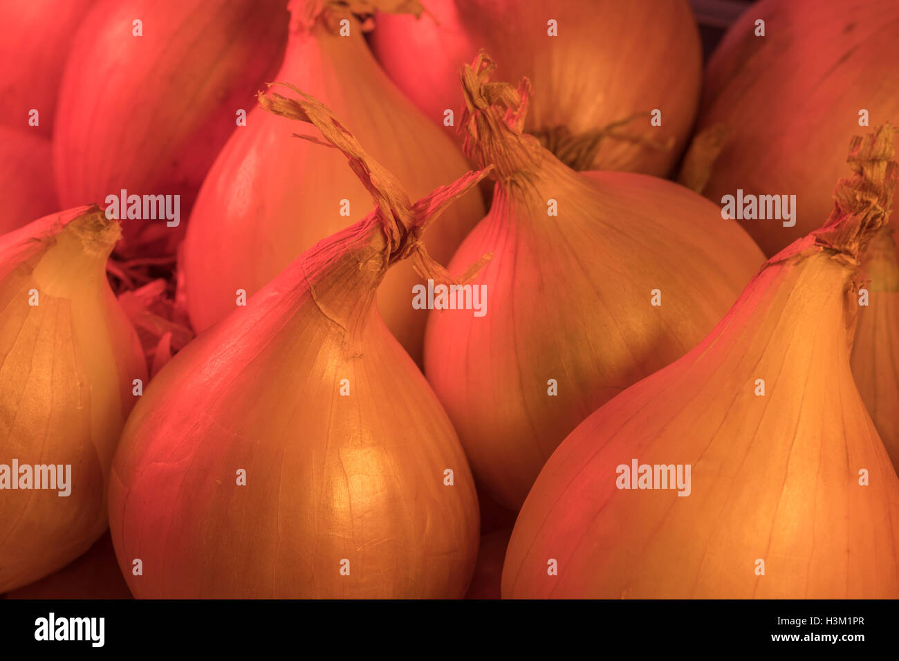 Kleine Zwiebelchen Schuß in warmen, sanftes Licht. Offensichtlich in der Küche verwendet, sondern auch Metapher für "Onion Routing' auf der Dunklen Web/Darknet/hacking Stockfoto