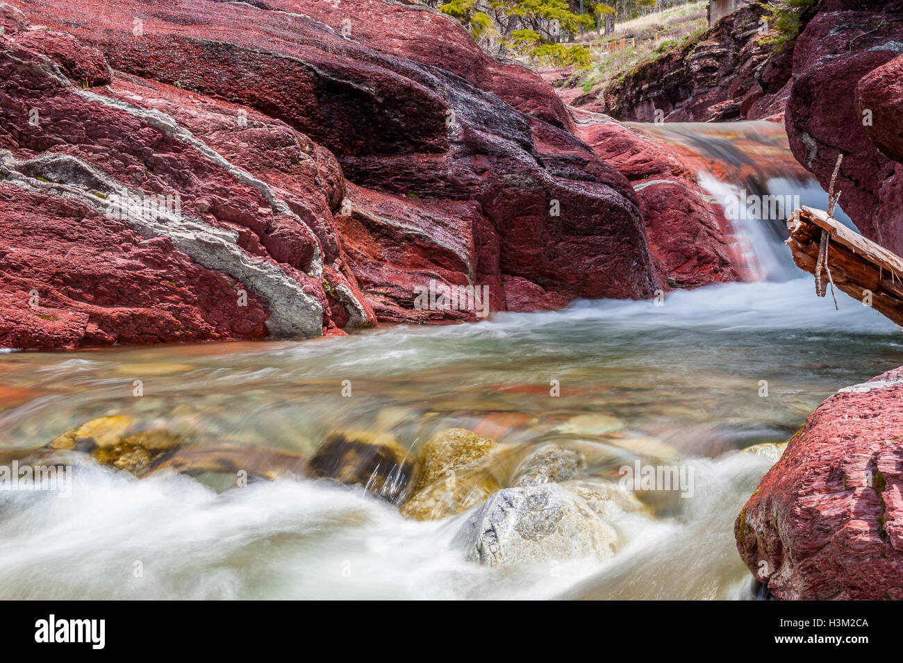 Red Rock Creek in Bewegung und Canyon in Waterton Lakes Nationalpark, Alberta, Kanada Stockfoto