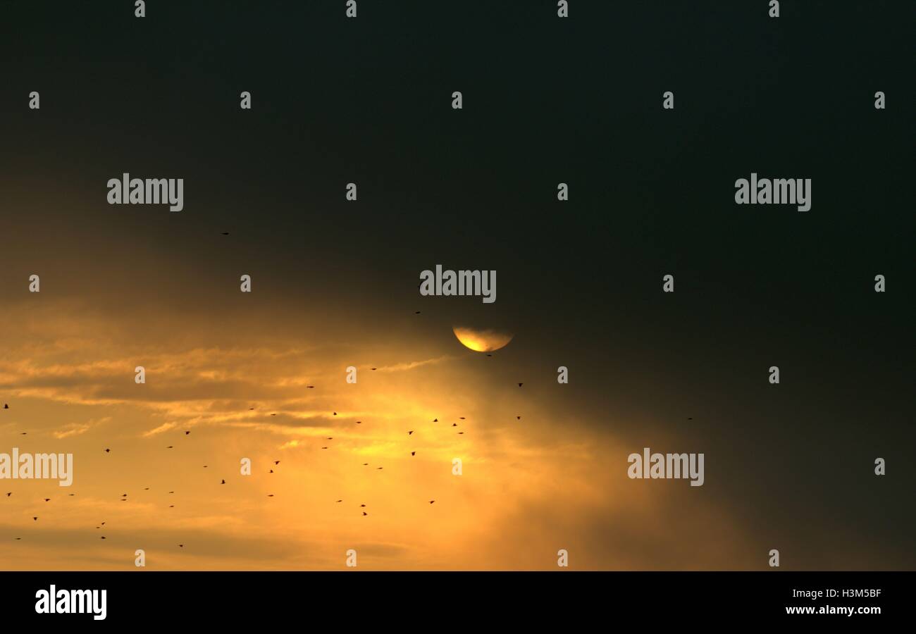 Vögel in der Vergangenheit als die Sonne aufgeht und Gewitterwolken verschieben In Stockfoto