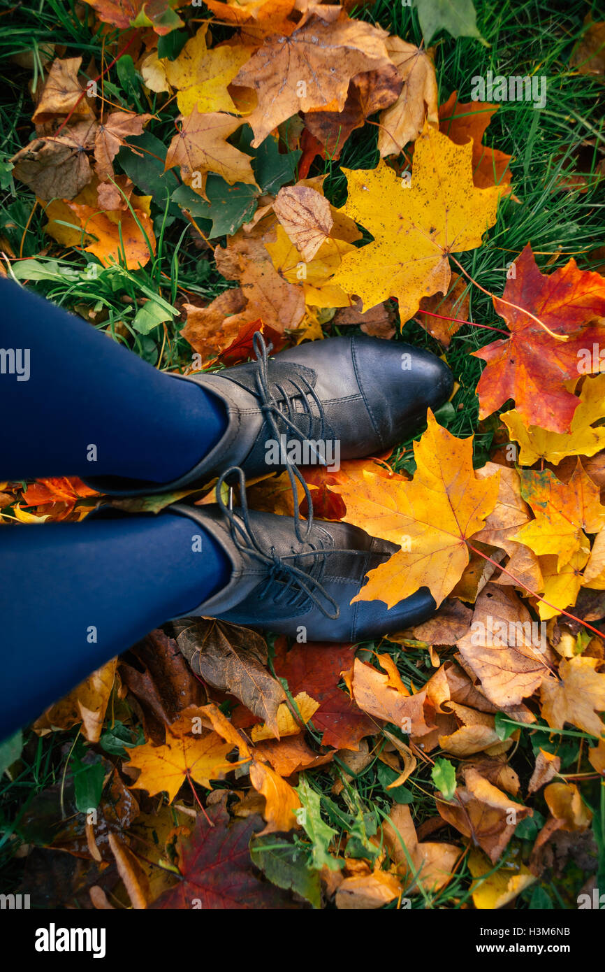 Frau-Beine in Stiefeln und Strumpfhosen steht gerade auf gefallene Herbstlaub, Ansicht von oben Stockfoto